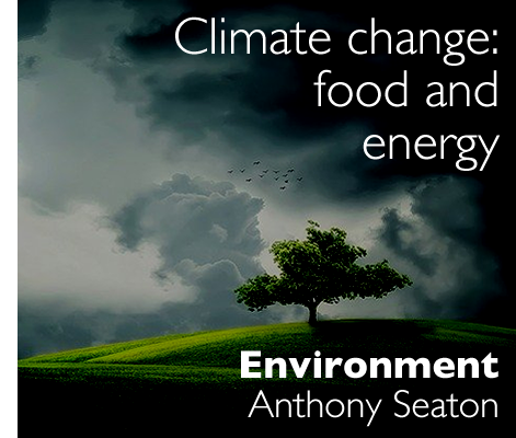 Environment - Anthony Seaton