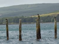 A Winter Weekend on the Isle of Mull