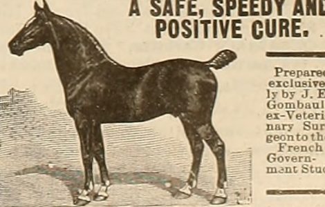 The Old Firm: A Derby That Means Too Much