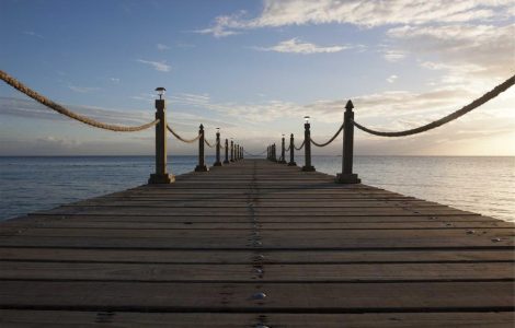 The Sour Taste of 'Excellence' and the Empty Promise of Local Flavour