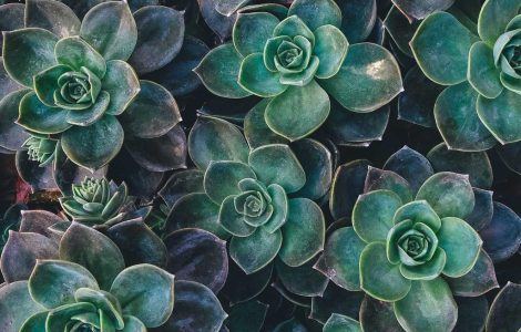 Drowning in Dross: Is Our News Cycle Broken?