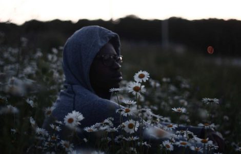 From Pixelated Beasts to Pavement Pests: Where Do Our Priorities Lie?