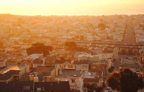 Beyond the Purebred Pedigree: What Our 'Designer' Dogs and Top-Tier Football Teach Us About Value