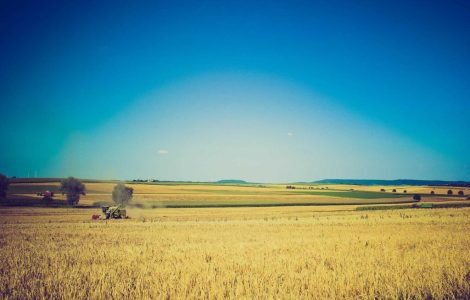 The Crumbling Foundations of Scotland's Future