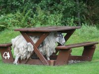 We Have Become Obsessed with League Tables