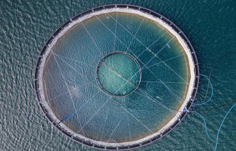 Bakkafrost Lodges Appeal After Lewis Fish Farm Planning Consent Refused