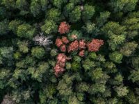 Scotland's Space Ambitions: High Hopes, Hard Landings