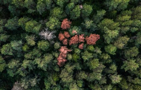 Scotland's Space Ambitions: High Hopes, Hard Landings