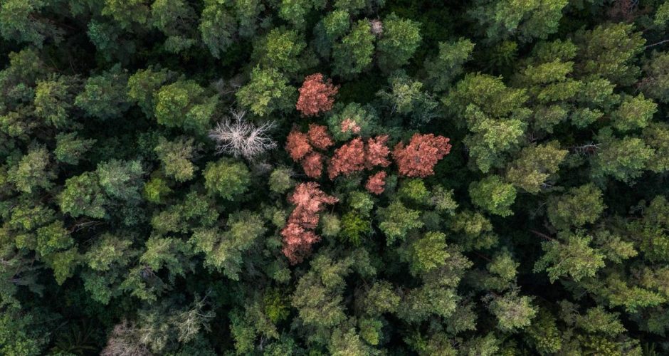 Scotland's Space Ambitions: High Hopes, Hard Landings