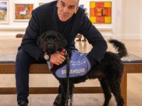 Veterans Urged to Seek Assistance Dog Support